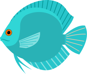 Tomer Fish